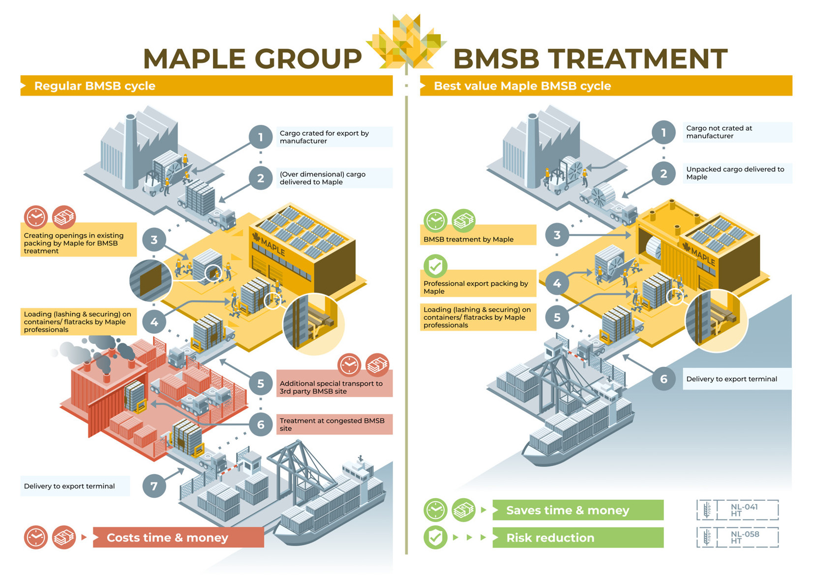 infographic Maple Group BMSB isometrisch packing shipping transport
